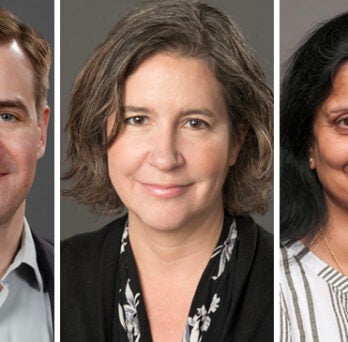 Portrait of Will Midgley in grey suit jacket and grey shirt, portrait of Anne Armstrong in black jacket and black and white shirt, portrait of Kavita Mundle in grey and white striped shirt. All three are on grey backgrounds. 